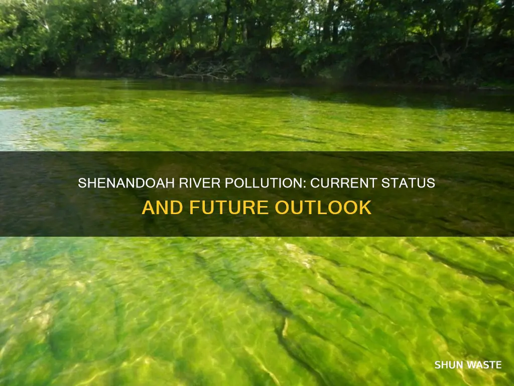 what is the current status of the shenandoah river pollution