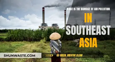 Air Pollution's Devastating Impact on Southeast Asia