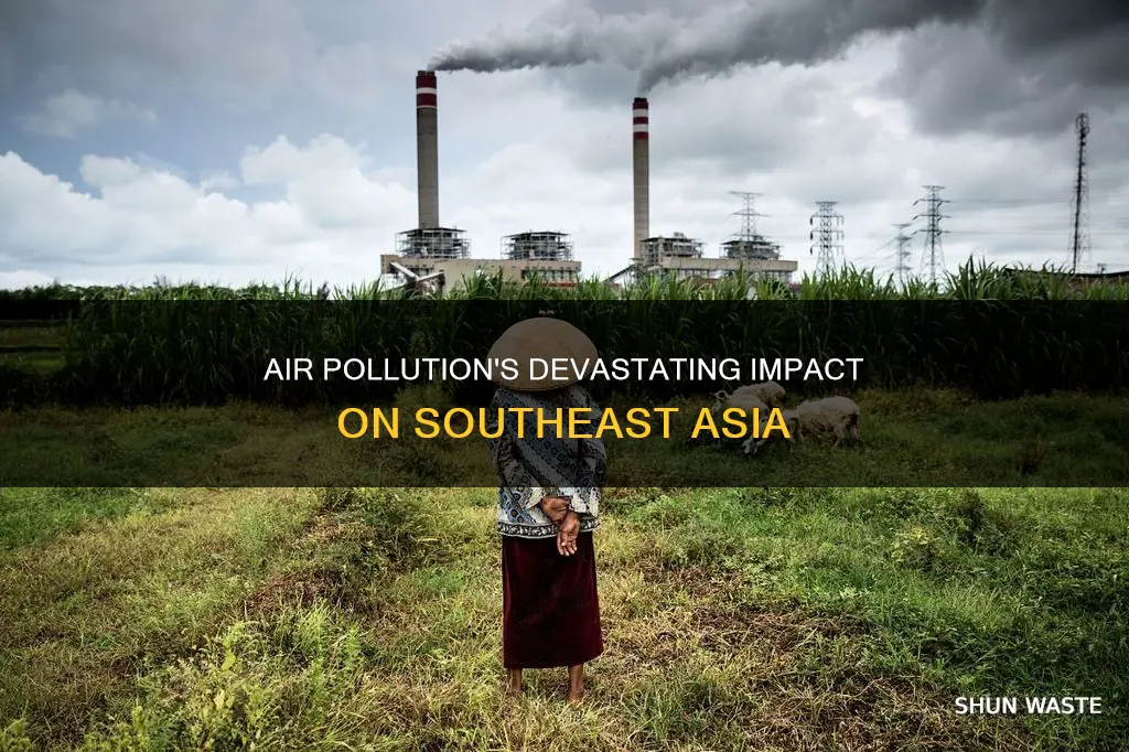 what is the damage of air pollution in southeast asia