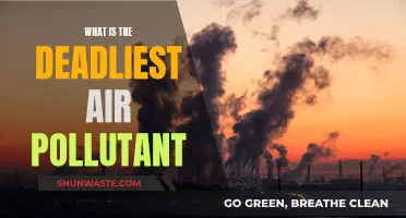 Deadly Air: The Most Lethal Pollutant