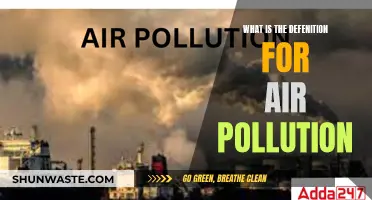 Air Pollution: Understanding the Toxic Air We Breathe