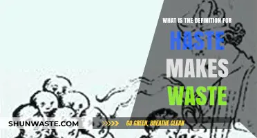 Understanding the Proverb: Haste Makes Waste and Its Timeless Wisdom