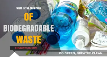 Understanding Biodegradable Waste: Definition, Importance, and Environmental Impact