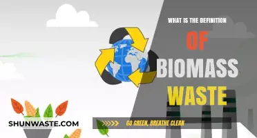 Understanding Biomass Waste: Definition, Sources, and Environmental Impact