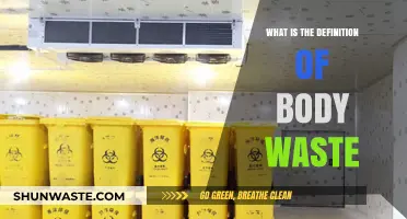 Understanding Body Waste: Definition, Types, and Importance Explained