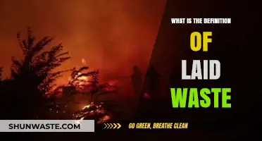 Understanding the Devastating Meaning of 'Laid Waste': A Comprehensive Definition