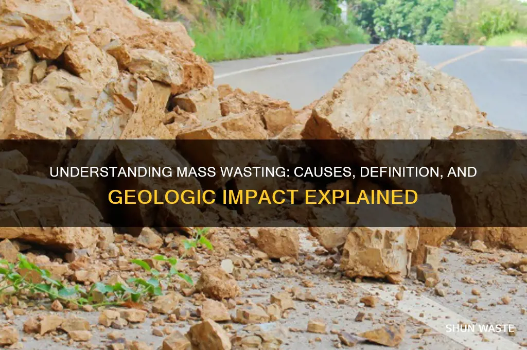 what is the definition of mass wasting