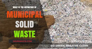 Understanding Municipal Solid Waste: Definition, Sources, and Management Basics