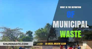 Understanding Municipal Waste: Definition, Types, and Environmental Impact