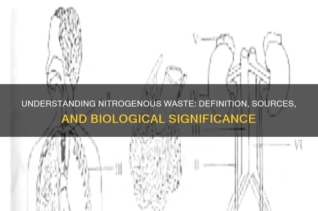 what is the definition of nitrogenous waste