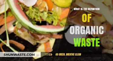 Understanding Organic Waste: Definition, Sources, and Environmental Impact