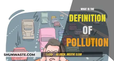 Understanding Pollution: Defining Environmental Contamination