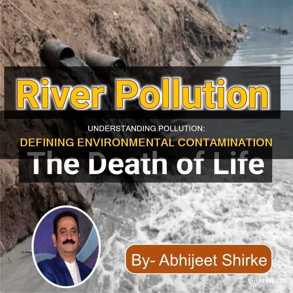 what is the definition of pollution