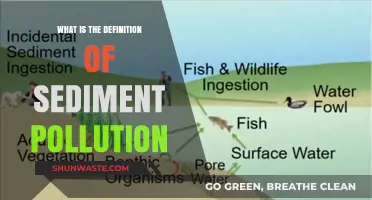 Sediment Pollution: Understanding the Contamination of Our Waterways