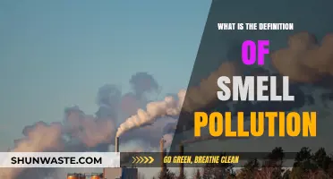 Understanding Odor Pollution and Its Impact