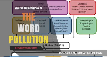 Understanding Pollution: Defining Environmental Contamination