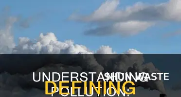 what is the definition of the word pollution