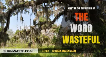 Understanding Wasteful: Defining the Meaning and Impact of Wastefulness