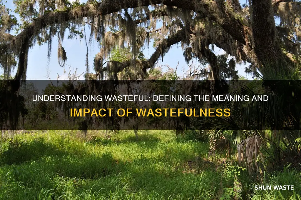 what is the definition of the word wasteful