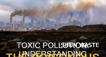 what is the definition of toxic pollution