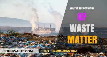 Understanding Waste Matter: Definition, Types, and Environmental Impact