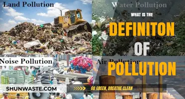 Understanding Pollution: Definition and Its Various Forms