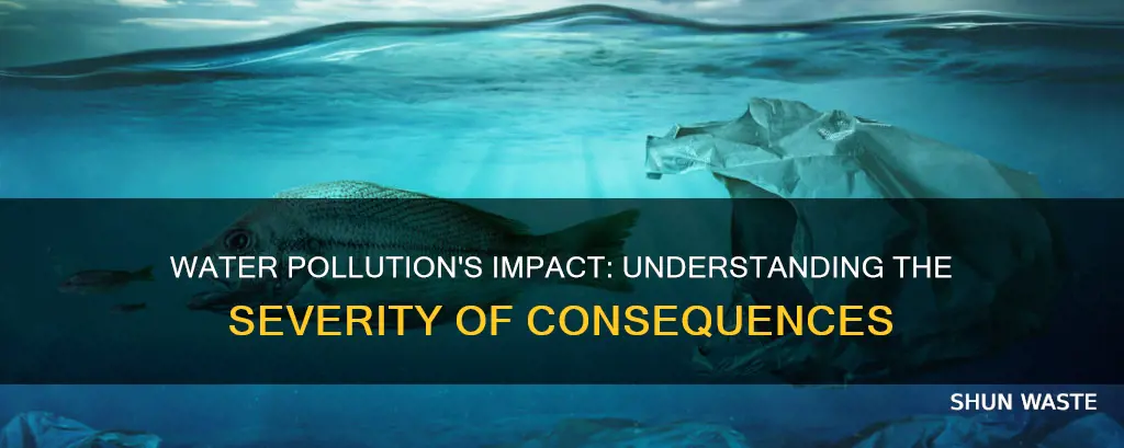 what is the degree of impact of water pollution