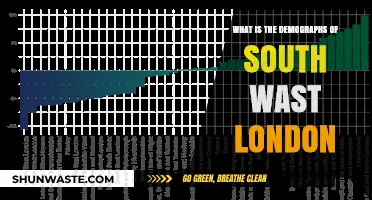Exploring South West London's Diverse Demographics and Population Trends