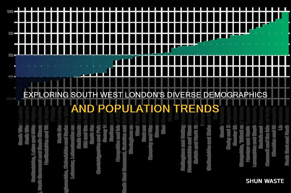 what is the demographs of south wast london