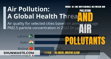 Air Pollution vs. Air Pollutants: What's the Difference?
