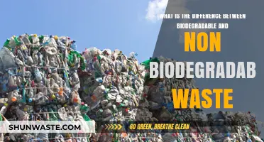 Biodegradable vs. Non-Biodegradable Waste: Understanding the Key Differences
