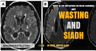 Cerebral Salt Wasting vs. SIADH: Key Differences Explained
