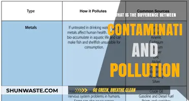 Contamination vs Pollution: Understanding the Key Differences