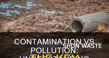 what is the difference between contamination and pollution