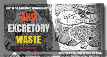 Digestive vs. Excretory Waste: Understanding the Body's Waste Management Systems