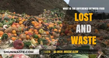Understanding the Critical Distinction Between Food Loss and Waste