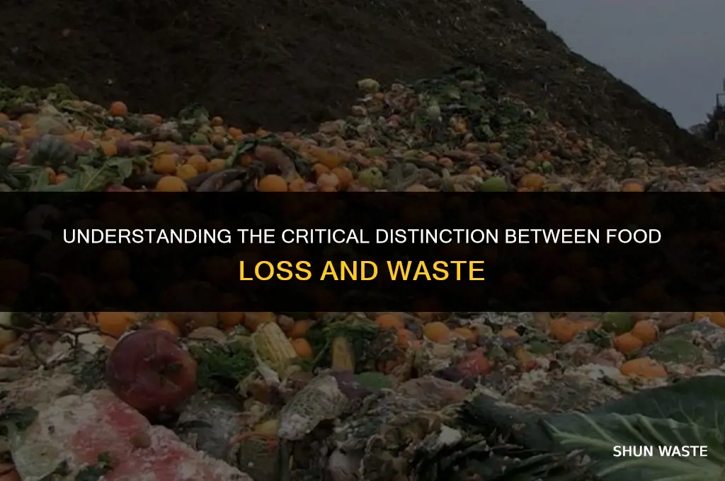 what is the difference between food lost and waste