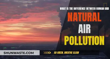Human vs Natural: Air Pollution Sources Compared