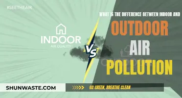 Air Pollution: Indoor vs Outdoor