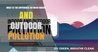 Indoor vs Outdoor Pollution: What's the Real Danger?