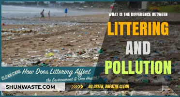 Littering vs Pollution: Understanding Environmental Impact