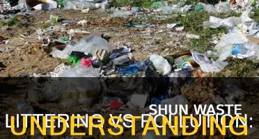 what is the difference between littering and pollution