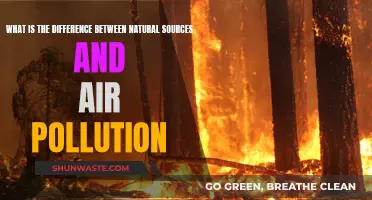Natural Sources vs Air Pollution: Understanding the Key Differences