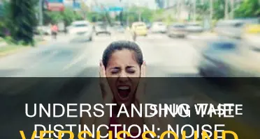 what is the difference between noise and sound pollution