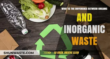 Organic vs. Inorganic Waste: Understanding the Key Differences