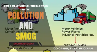 Particulate Matter vs. Smog: What's the Difference?