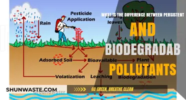 Persistent Pollutants: Biodegradable vs. Forever Chemicals