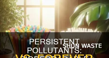 what is the difference between persistent and biodegradable pollutants