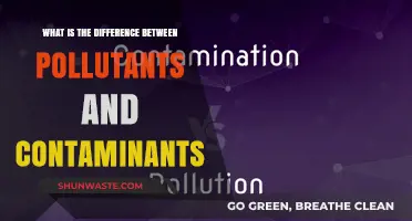 Pollutants vs Contaminants: What's the Difference?