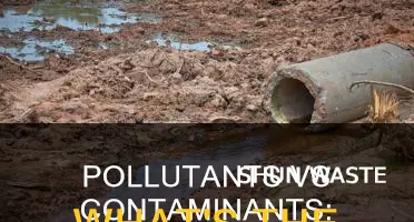 what is the difference between pollutants and contaminants
